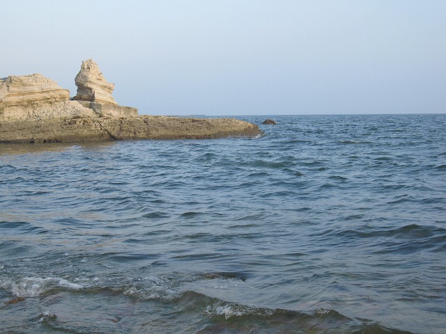 田口ブログ