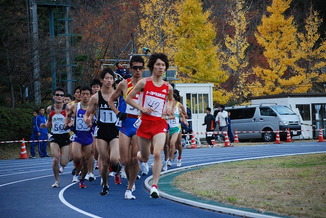 20101120日体大記録会2