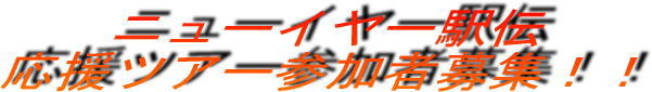 2011ニューイヤー駅伝特集素材
