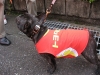 2010中部実業団駅伝(2010.11.14)